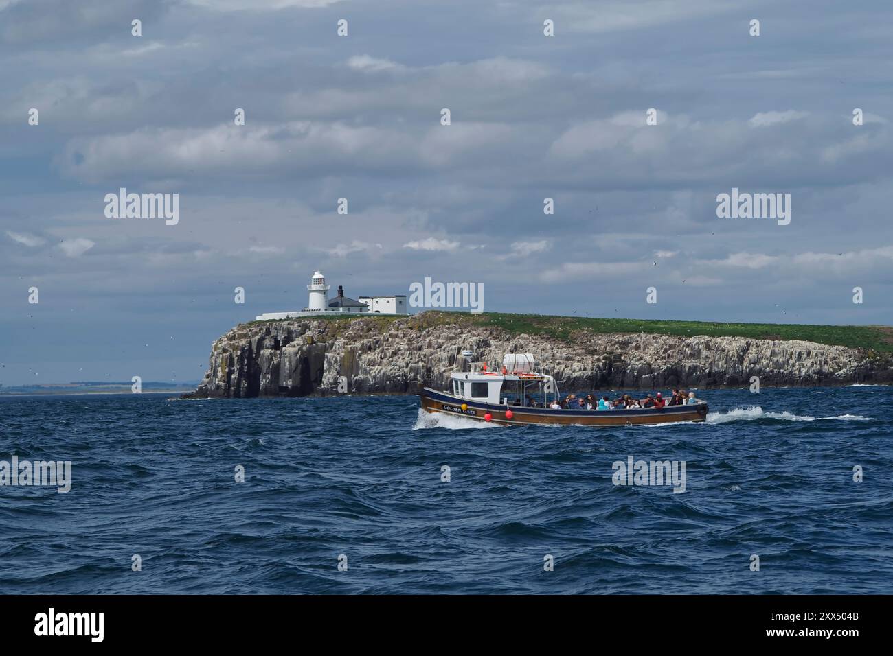 Farne islands tour boat hi-res stock photography and images - Alamy