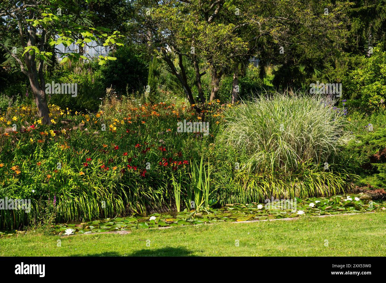 The University botanical garden, the Loki Schmidt Garten in Altona