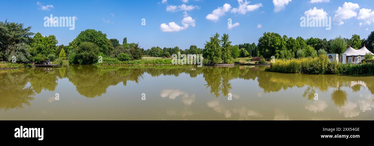 Hamburg, Germany, July 19, 2024 Natural reflection in the water pond