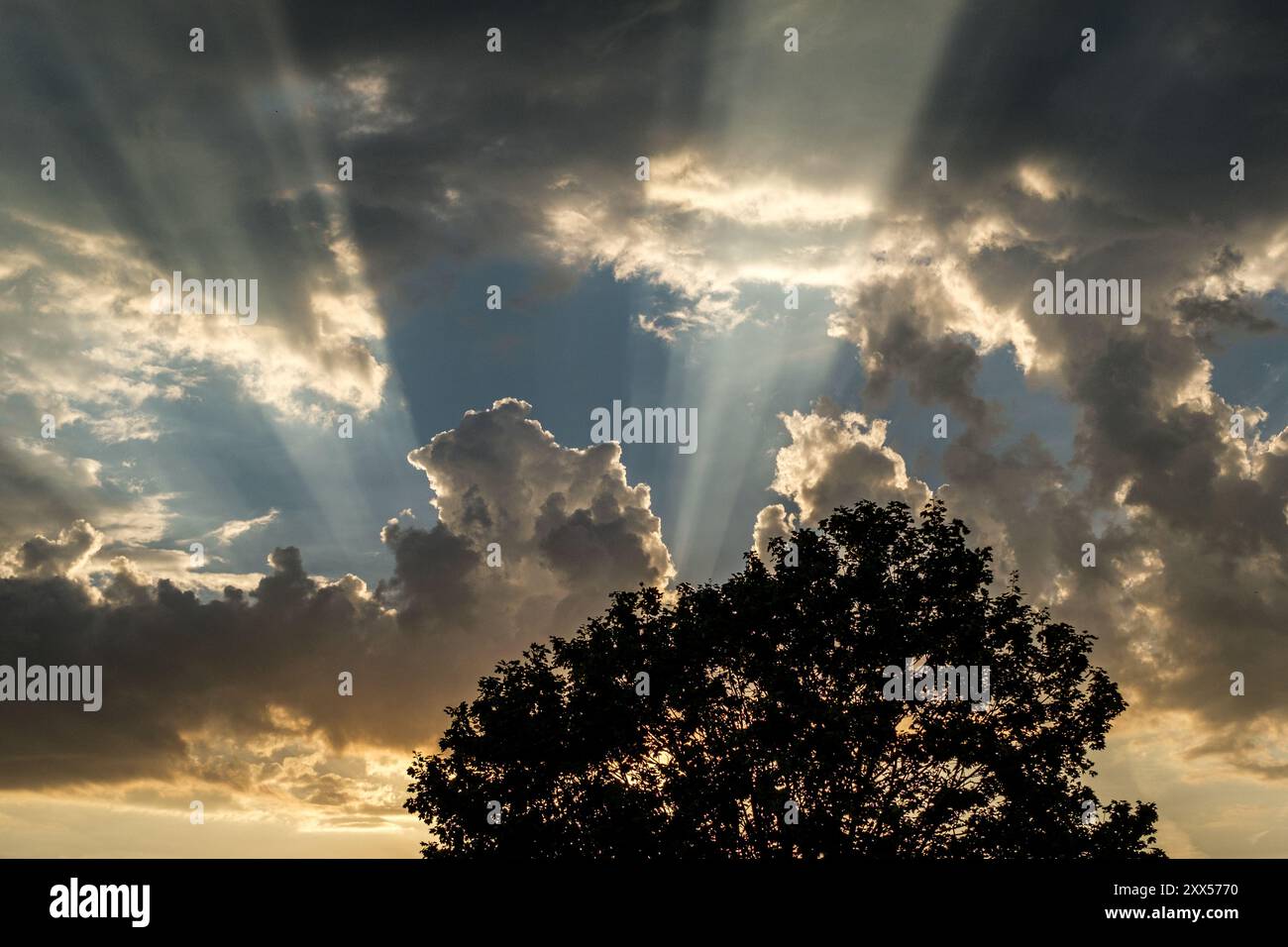 Beautiful sun shafts light hi-res stock photography and images - Alamy