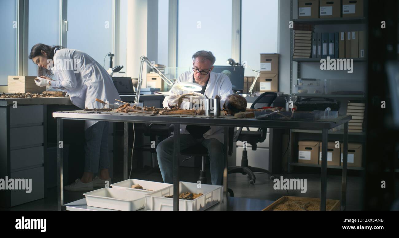 Archaeological Lab Scientist uses laboratory lamp examine hi-res stock photography and ...