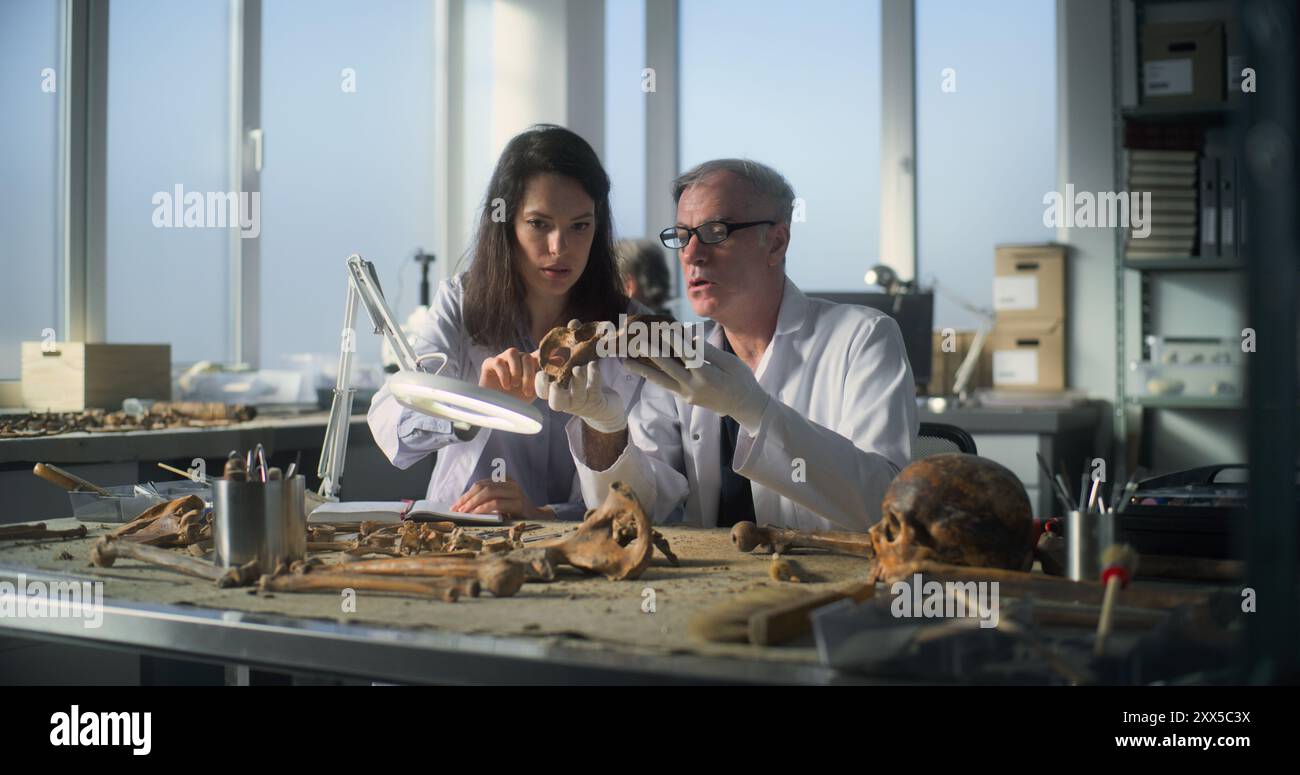 Study examines ancient artifacts hi-res stock photography and images ...