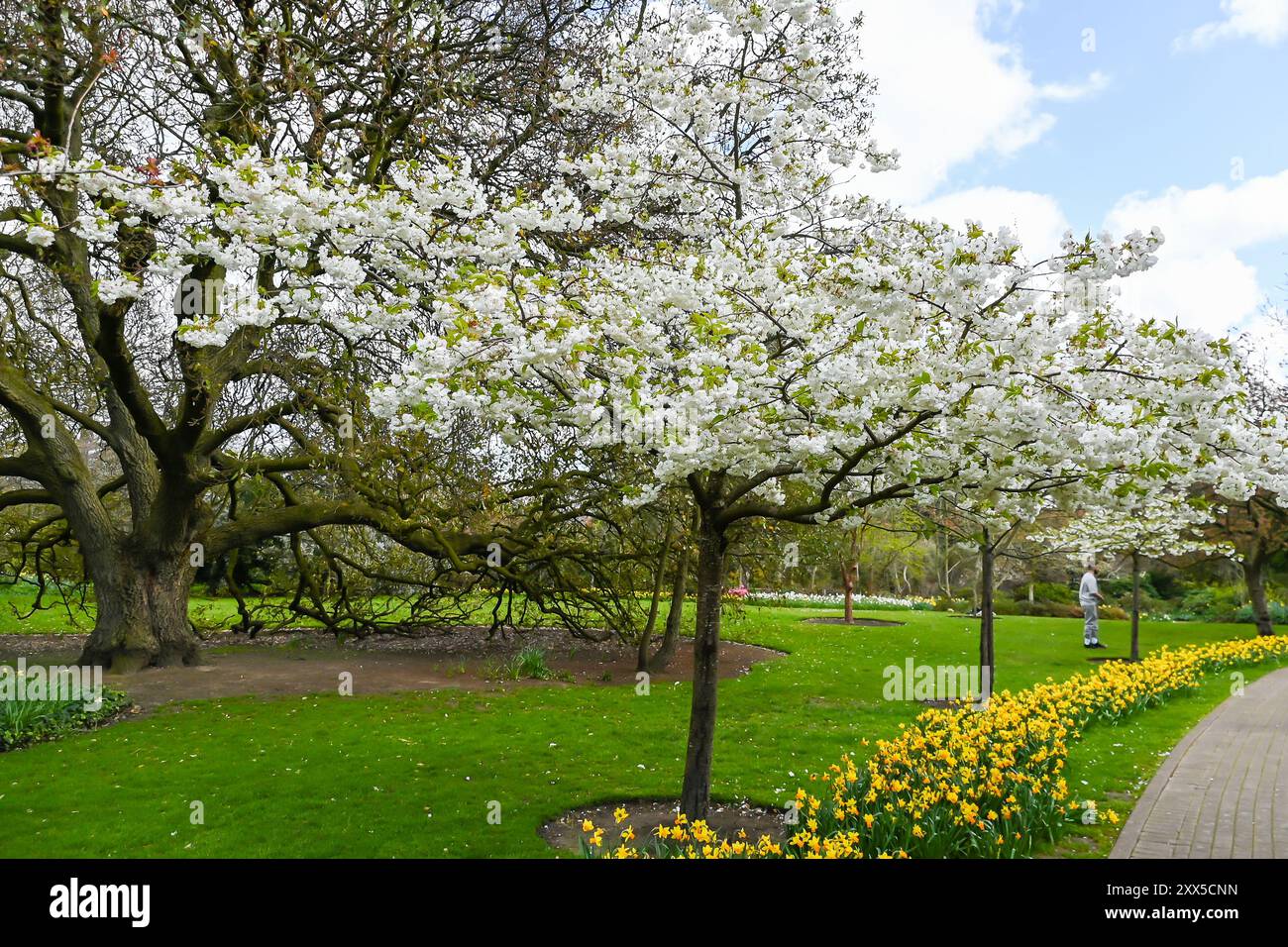 Lawn and Flower beds in the Spring with Lush colours Stock Photo - Alamy