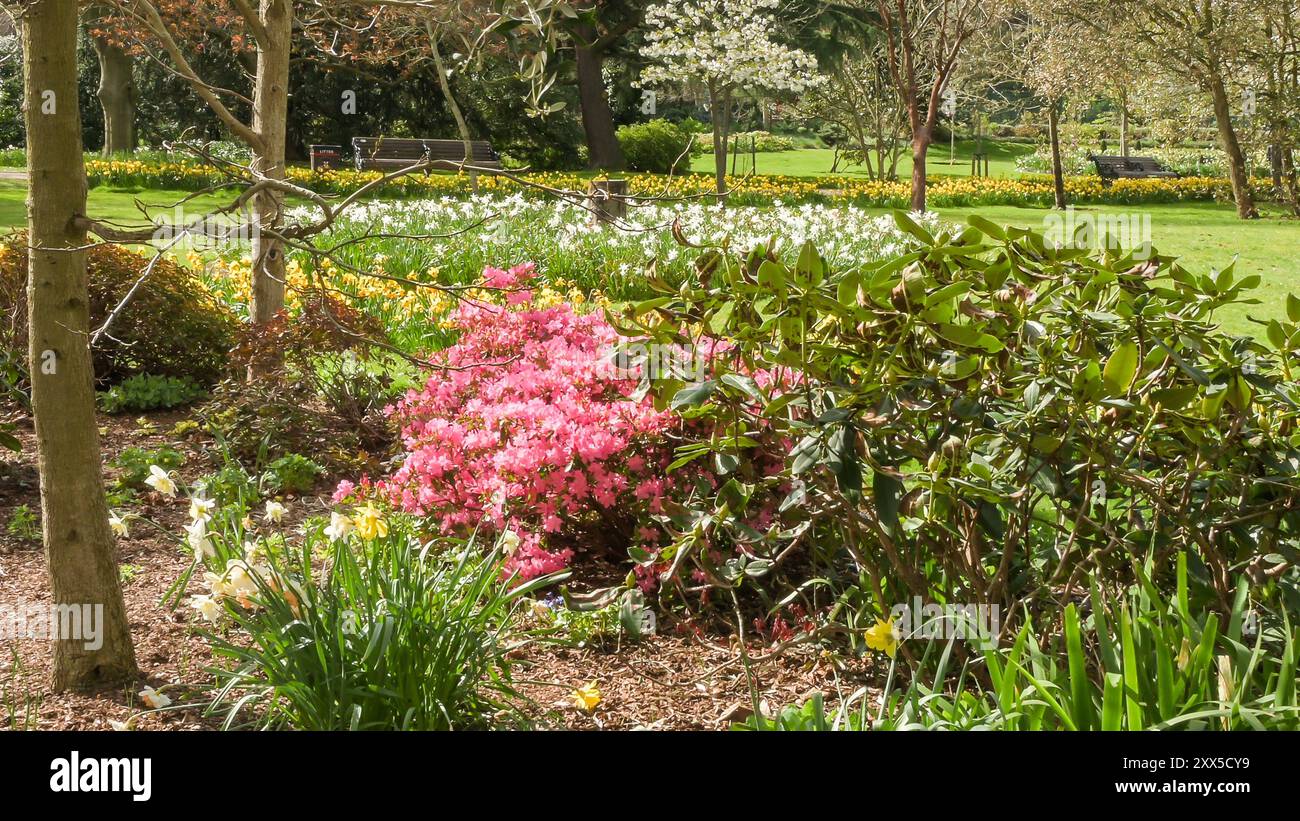 London parks flowers in spring Stock Photo