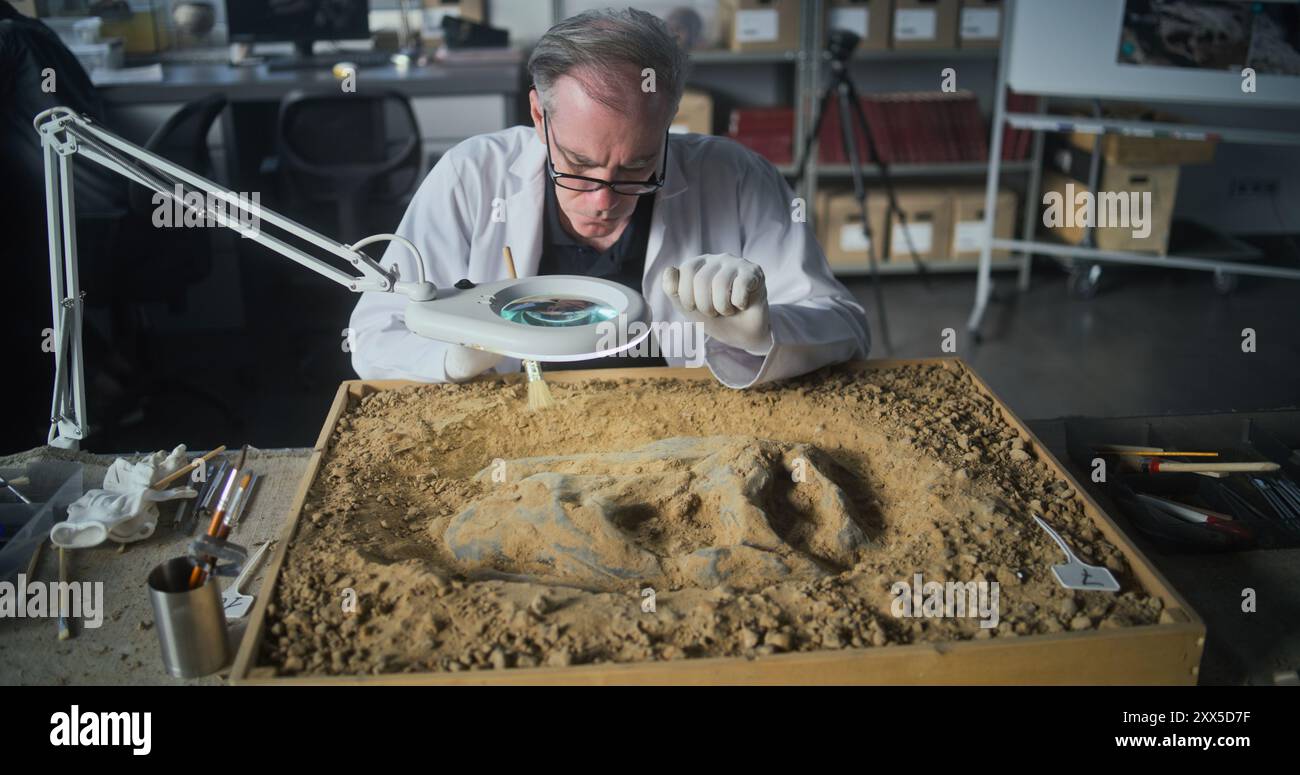 Archaeological Lab Senior archaeologist cleans prehistoric human hi-res stock photography ...