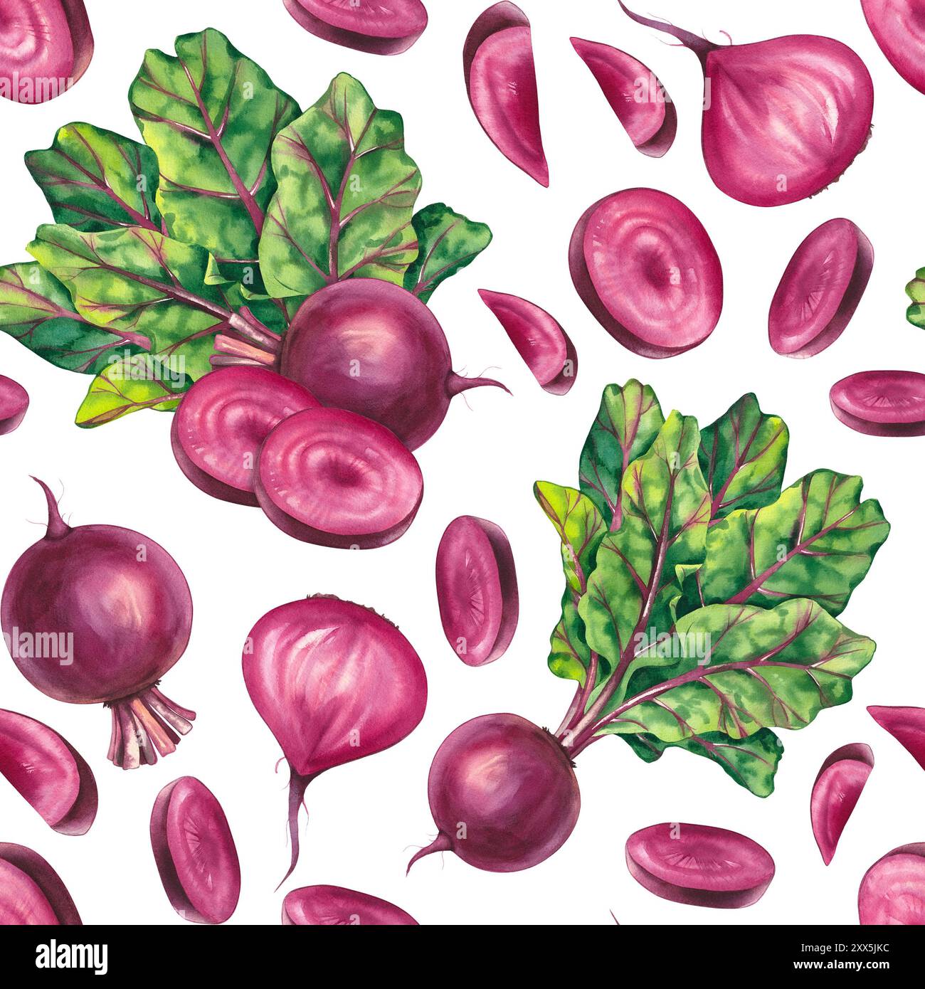 Watercolor beetroot pattern. Watercolor root vegetable beetroot pattern ...