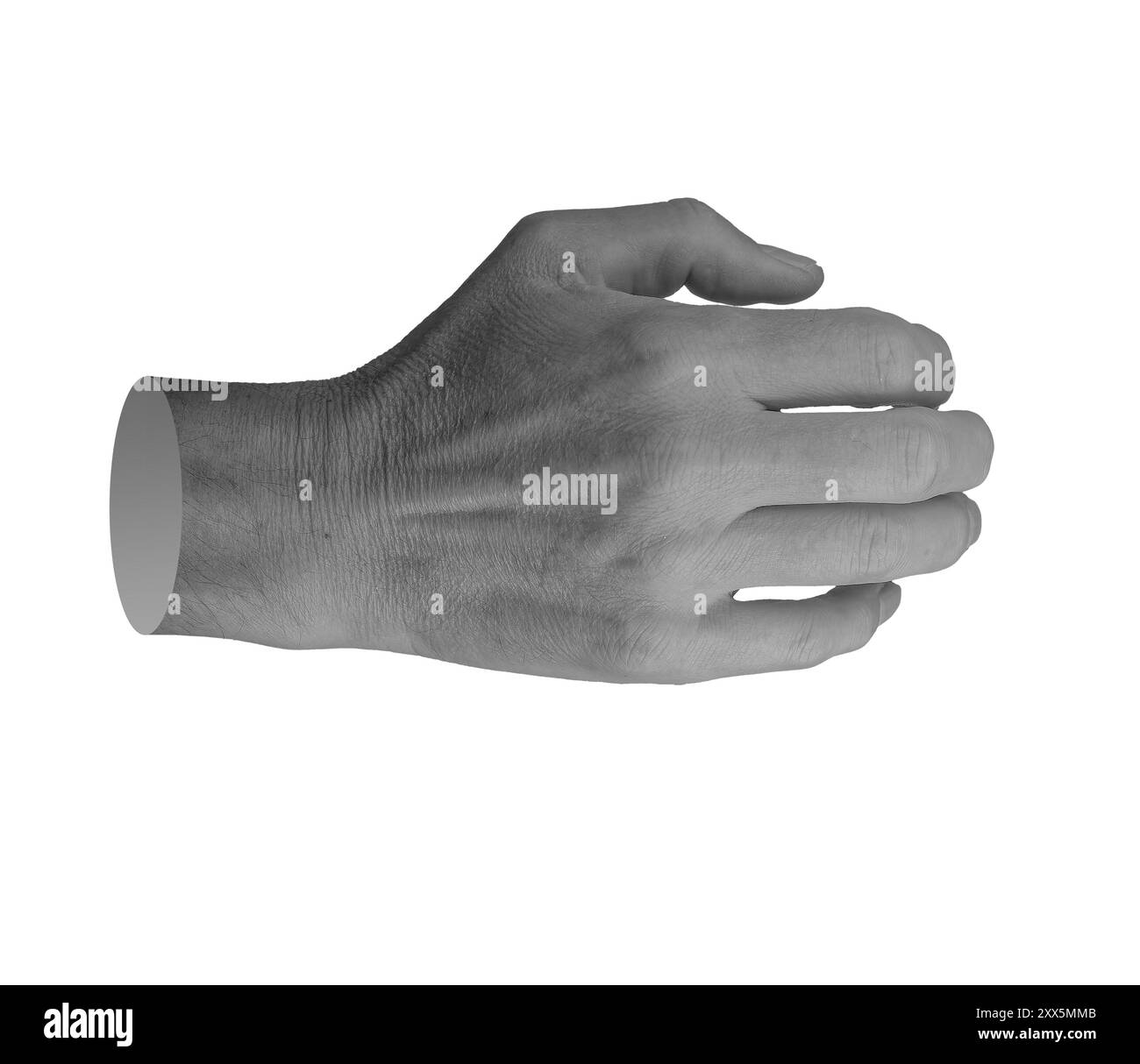 Right hand in a bent fist, knuckles, dorsal view. Isolated on white background. Gesture and body language. Stock Photo
