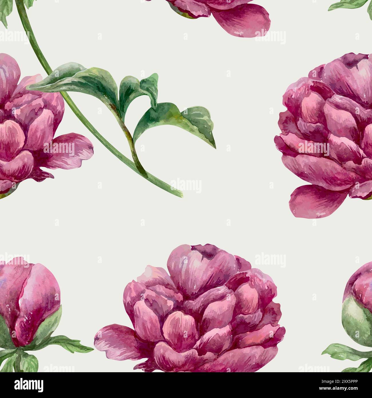 Peonies watercolor seamless pattern. Hand drawn vector illustration of ...