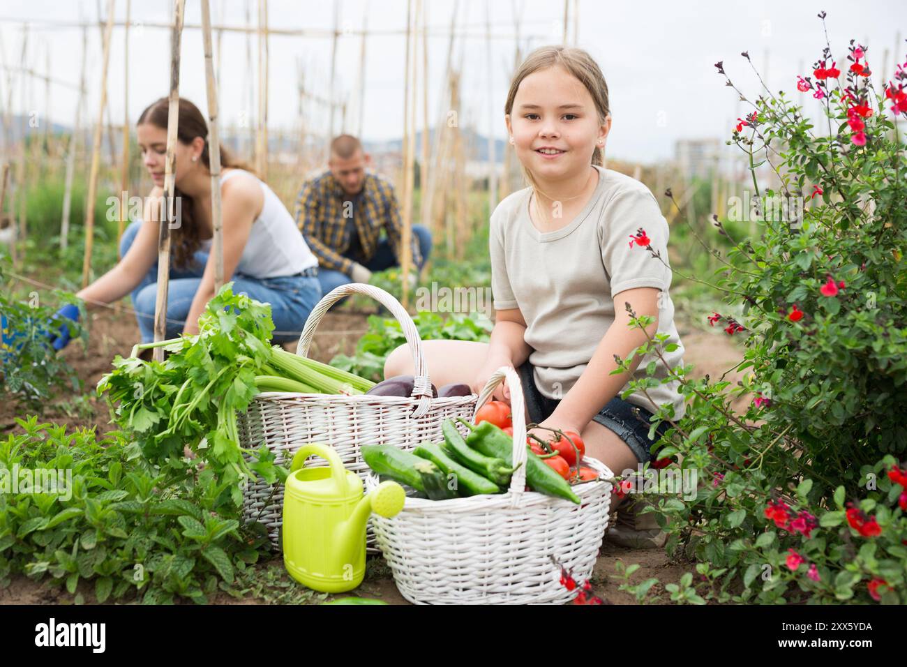 Little girl posing in garden with harvest Stock Photo - Alamy