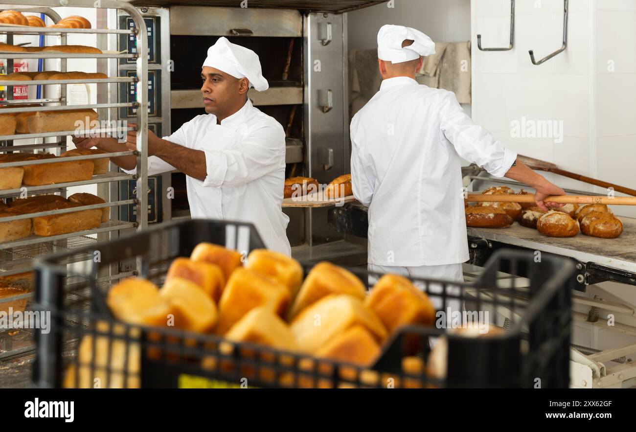 Man baker transporting a cart with bread in bakery Stock Photo - Alamy