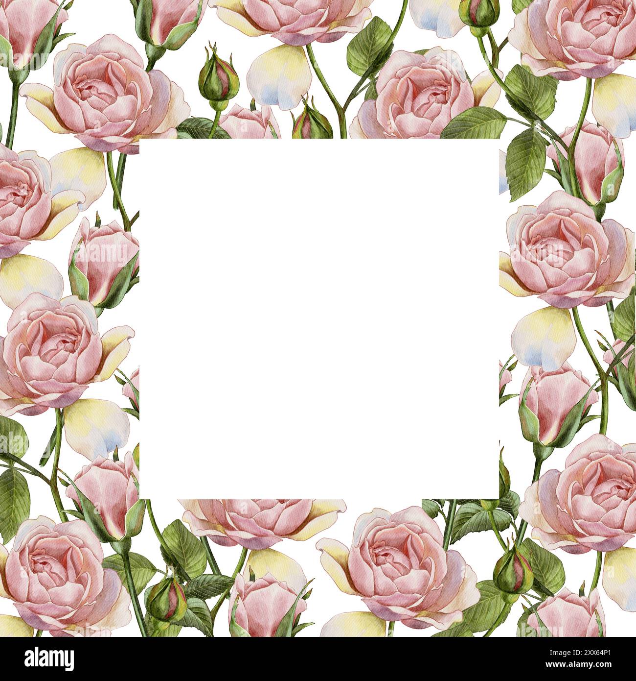 Vintage pink roses frame watercolor illustration Stock Photo - Alamy