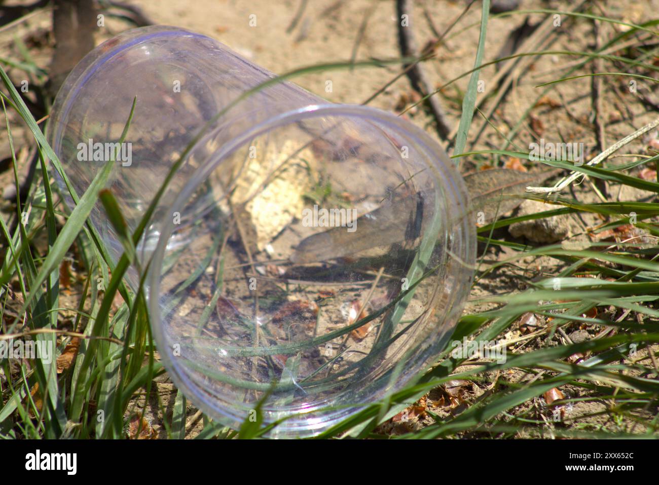 clear empty fast food cup garbage Stock Photo