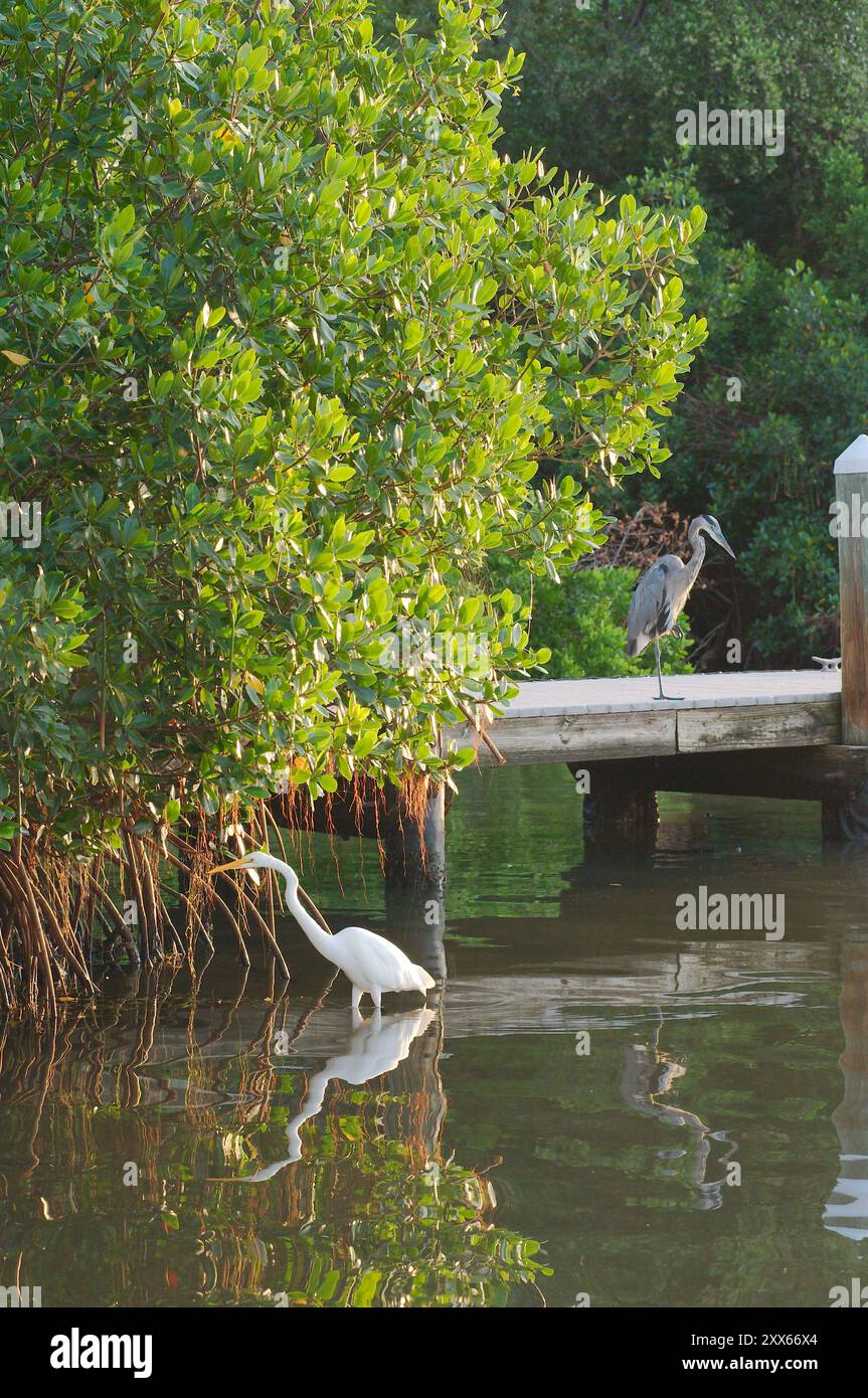 Slfmyline Ss Boat Neck Top Egret