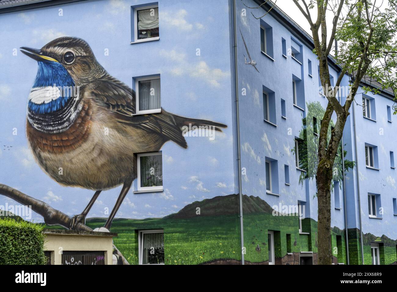 Residential buildings on Feldsieper Strasse in Bochum, after an energy