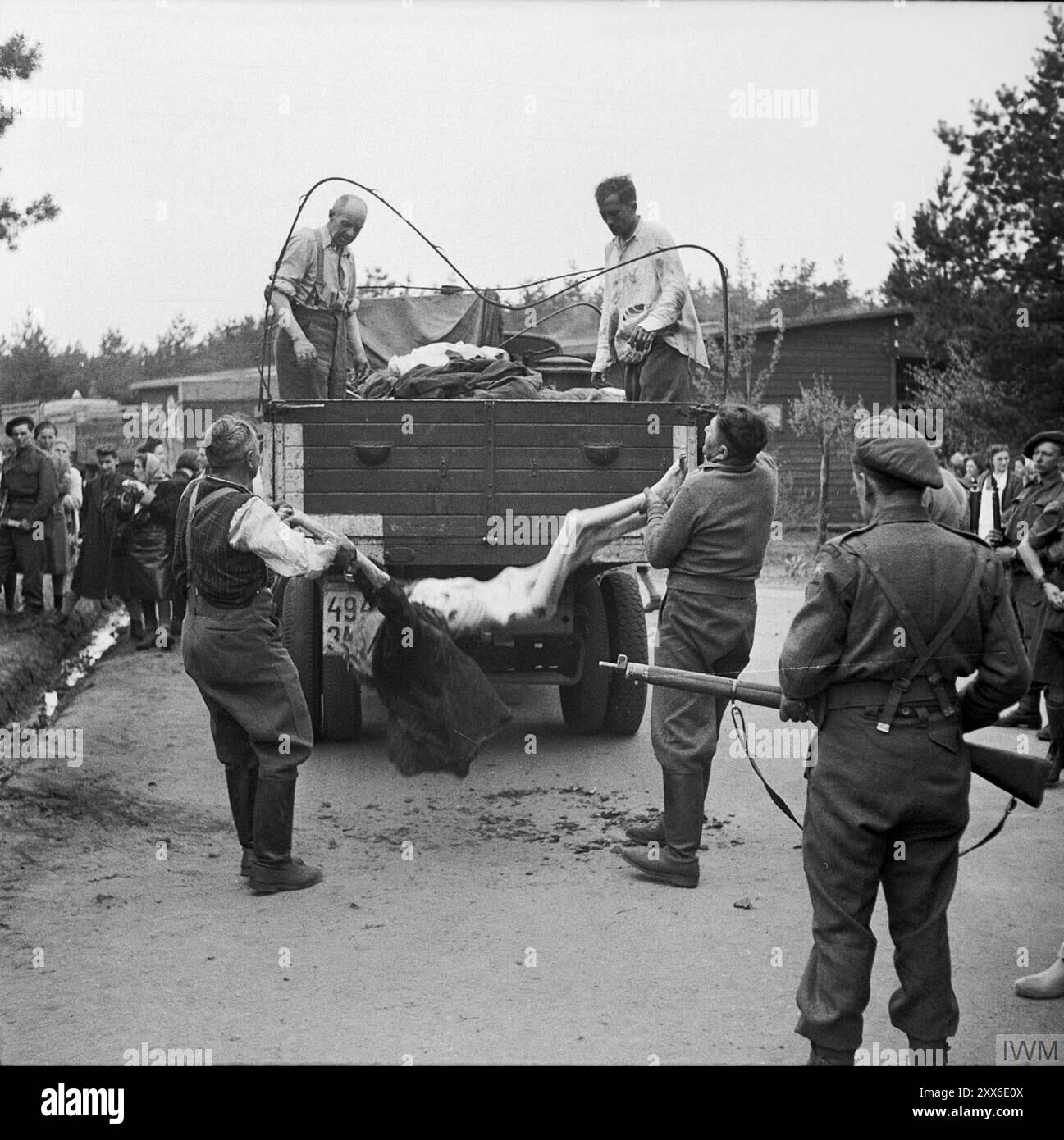 Former guards at Bergen-belsen concentration camp loading dead bodies onto a truck for burial. The photo is dated 17th April 1945, 2 days after the camp's liberation. The camp's position in the west of Germany meant that thousands of people were sent there as the east fell. 18000 people died in March 1945 alone, and 10000 died in the two weeks after liberation. There were 13000 unburied bodies there when the British and Canadian armies arrived. Stock Photo