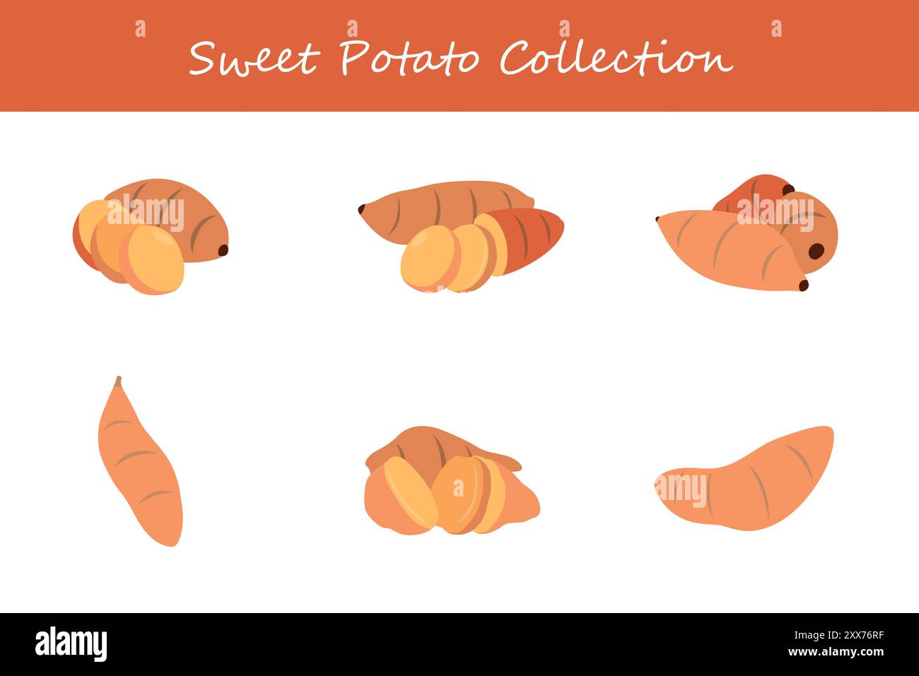 sweet potato collection in different poses. Vector illustration. Stock Vector