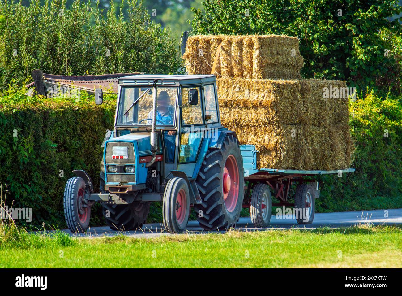 Traktor mit Anhänger vollbeladen mit Stroh, Nähe München, August 2024 Deutschland, Nähe München, August 2024, Traktor mit Anhänger voll beladen mit Strohballen bei der Heimfahrt vom Feld, Landwirtschaft, Sommer, Sommertag, Bayern, *** Tractor with trailer fully loaded with straw, near Munich, August 2024 Germany, near Munich, August 2024, Tractor with trailer fully loaded with bales of straw on the way home from the field, agriculture, summer, summer day, Bavaria, Stock Photo