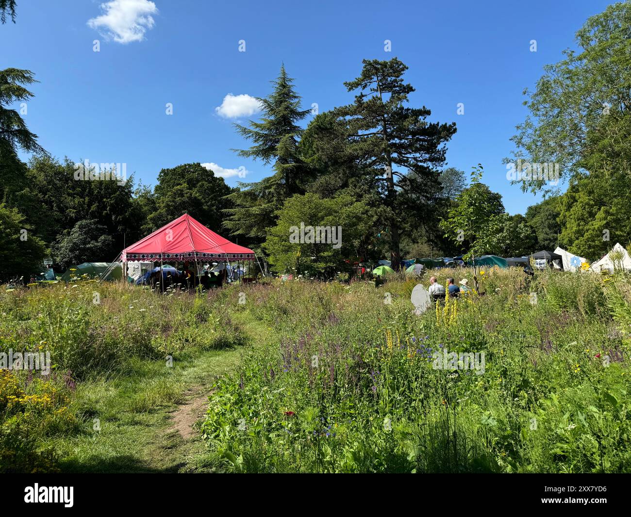 Peaceful scene at The 2024 Cambridge Folk Festival at Cherry Hinton Hall. Stock Photo