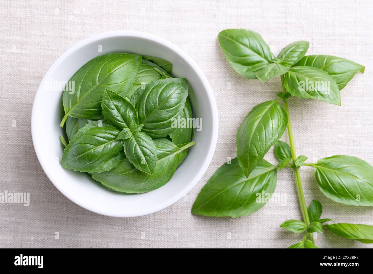 Sweet basil leaves in a wooden bowl on linen fabric with whole branch on the right. Fresh great or Genovese basil, Ocimum basilicum. Stock Photo