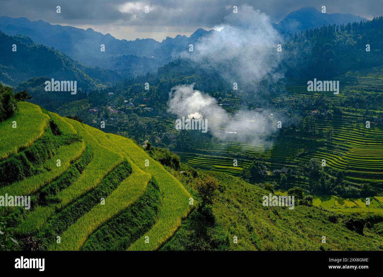 Vietnam, Bac Ha, rice fileds in terrace Stock Photo - Alamy