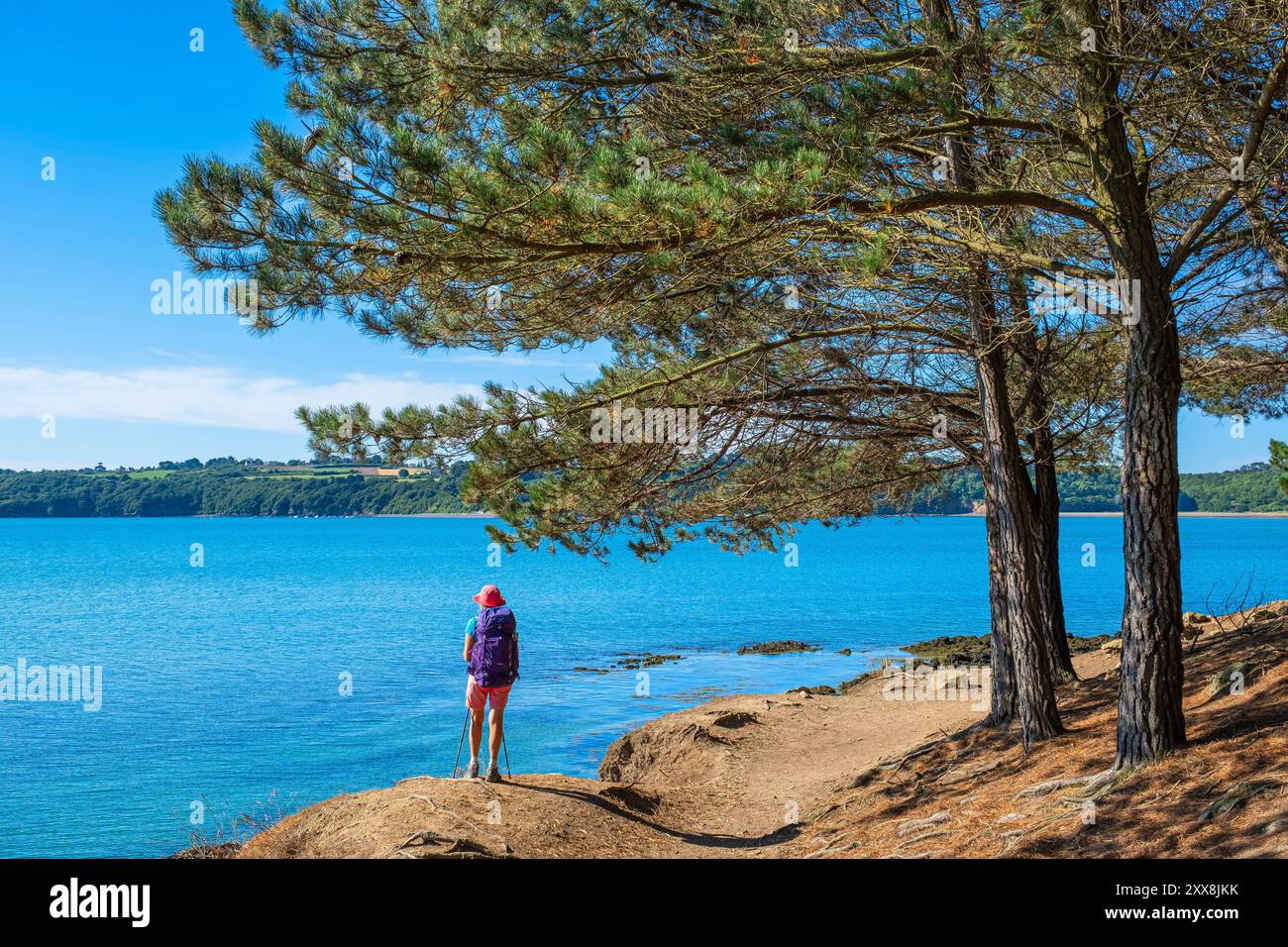 France, Cotes d'Armor, Paimpol, hike on the GR 34 long-distance hiking ...