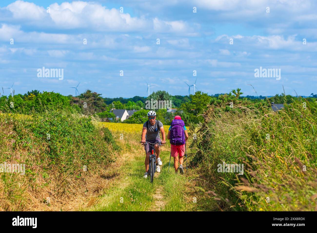 France, Morbihan, Gulf of Morbihan, Ambon, hike on the GR 34 long ...