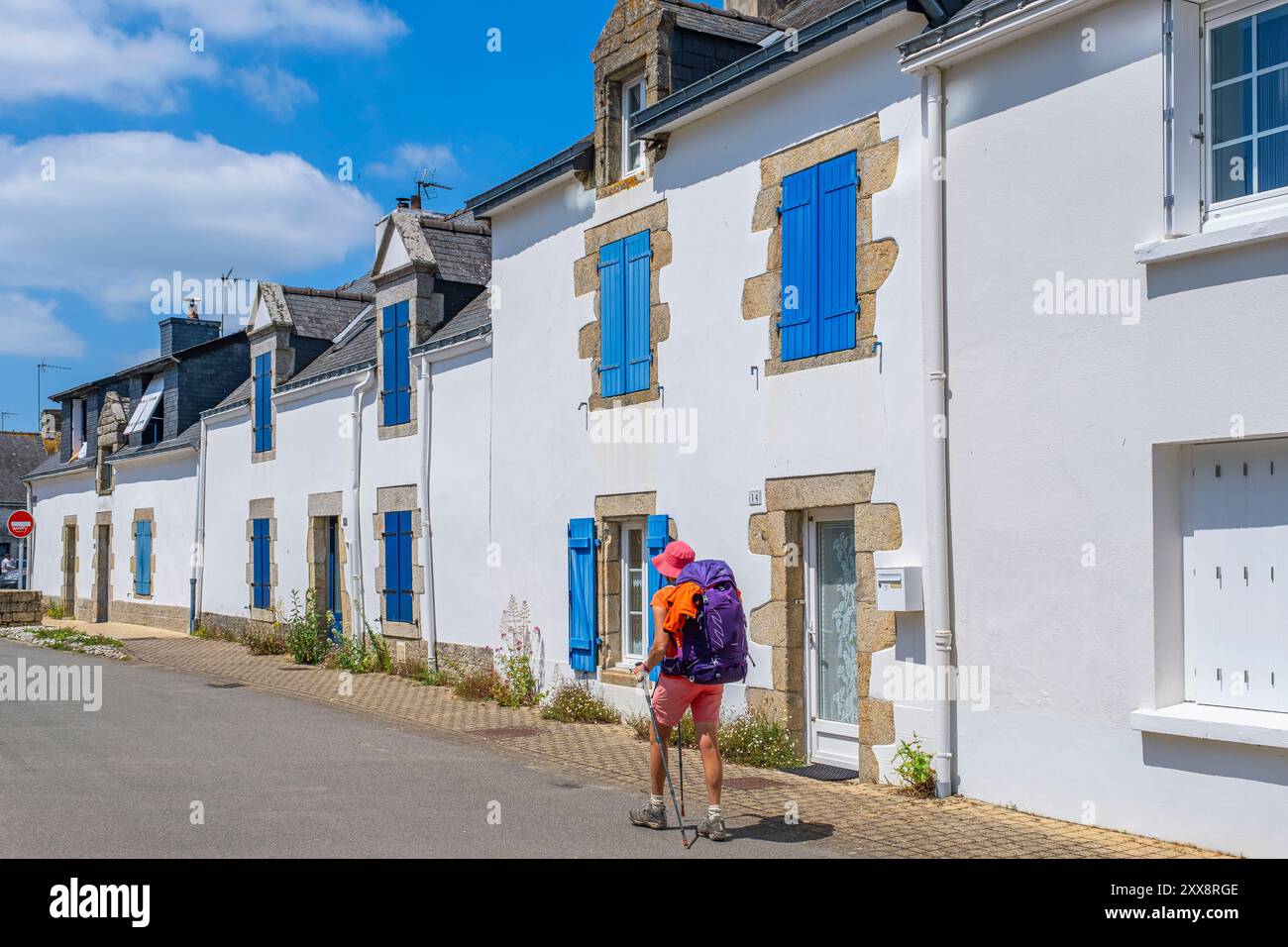 France, Morbihan, Gulf of Morbihan, Damgan, hike on the GR 34 long ...
