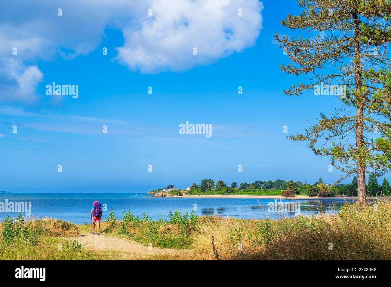 France, Morbihan, Penestin, hike on the GR 34 long-distance hiking ...
