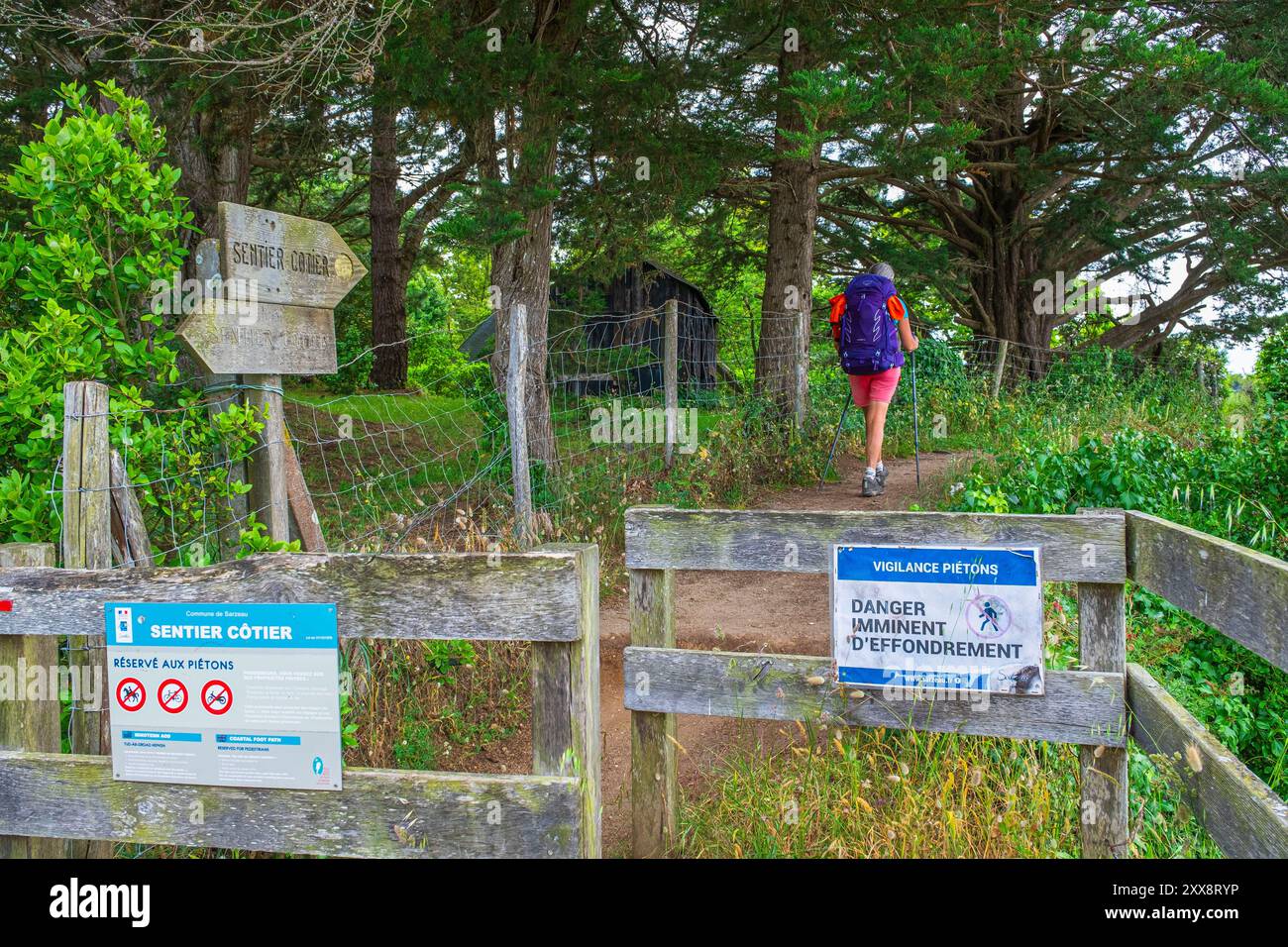 France, Morbihan, Gulf of Morbihan, Sarzeau, hike on the GR 34 long ...