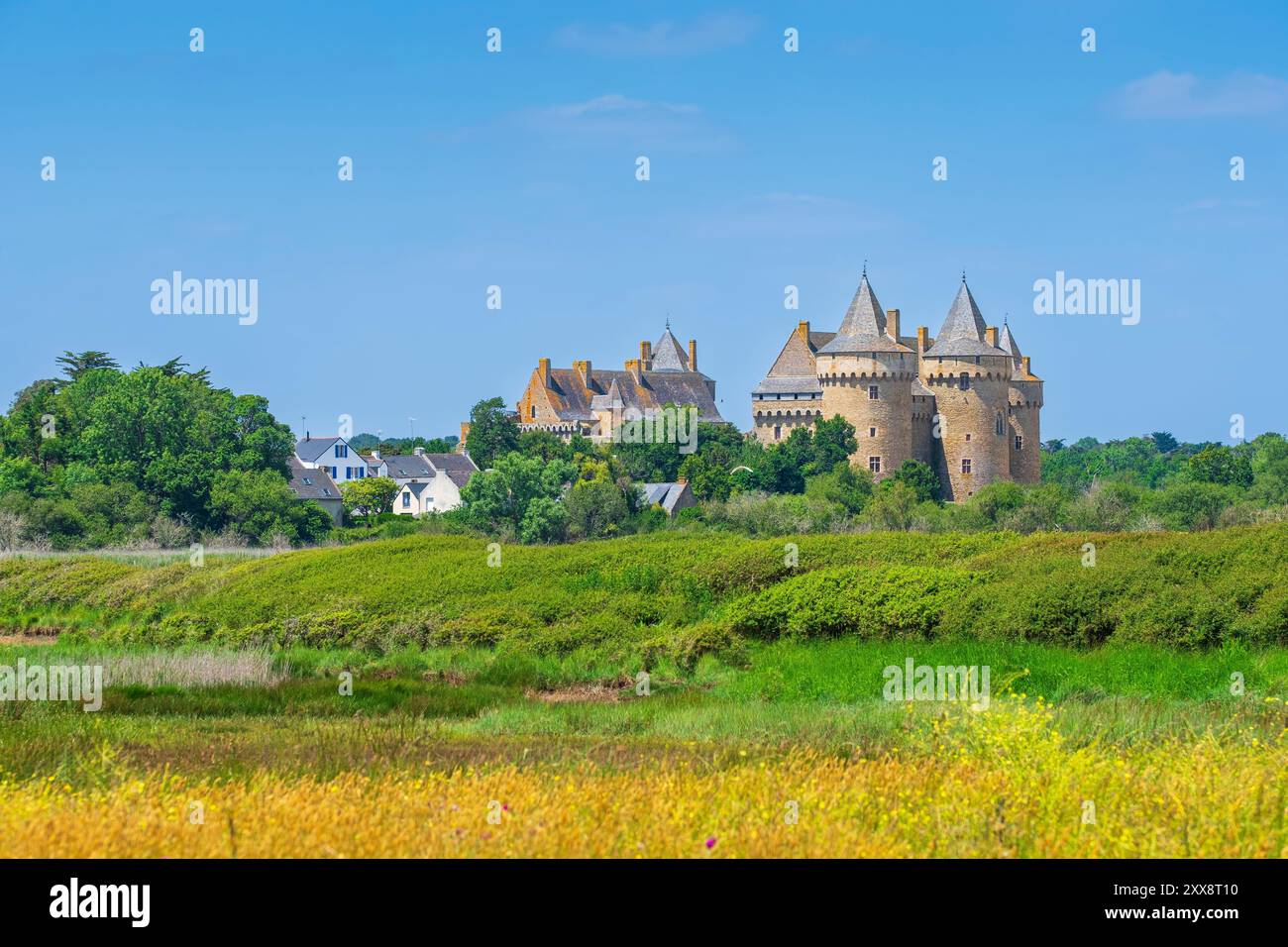 France, Morbihan, Gulf of Morbihan, Sarzeau, Suscinio medieval castle ...