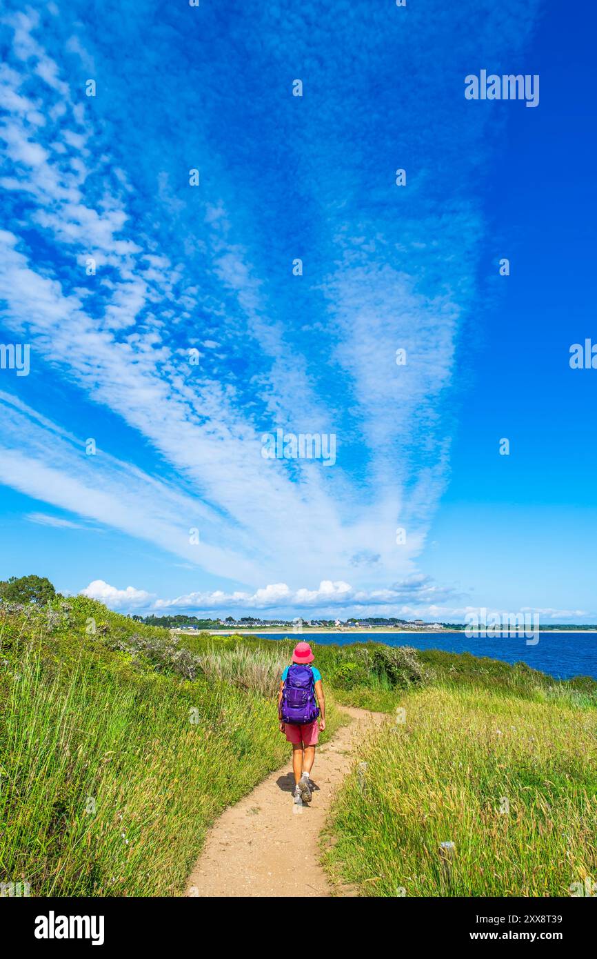 France, Morbihan, Gulf of Morbihan, Arzon, hike on the GR 34 long ...