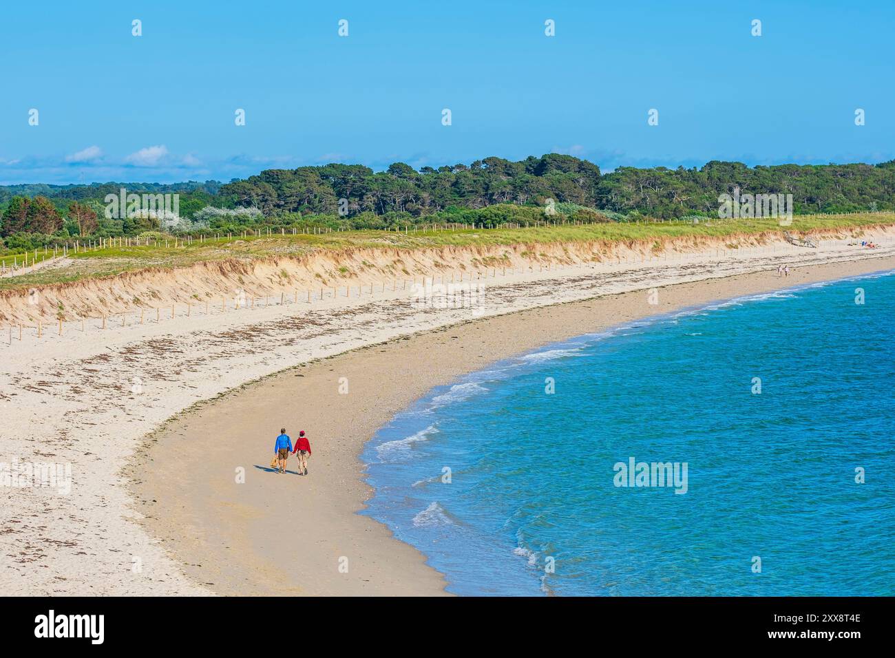 France, Morbihan, Gulf of Morbihan, Arzon, Kerver beach on the GR 34 ...