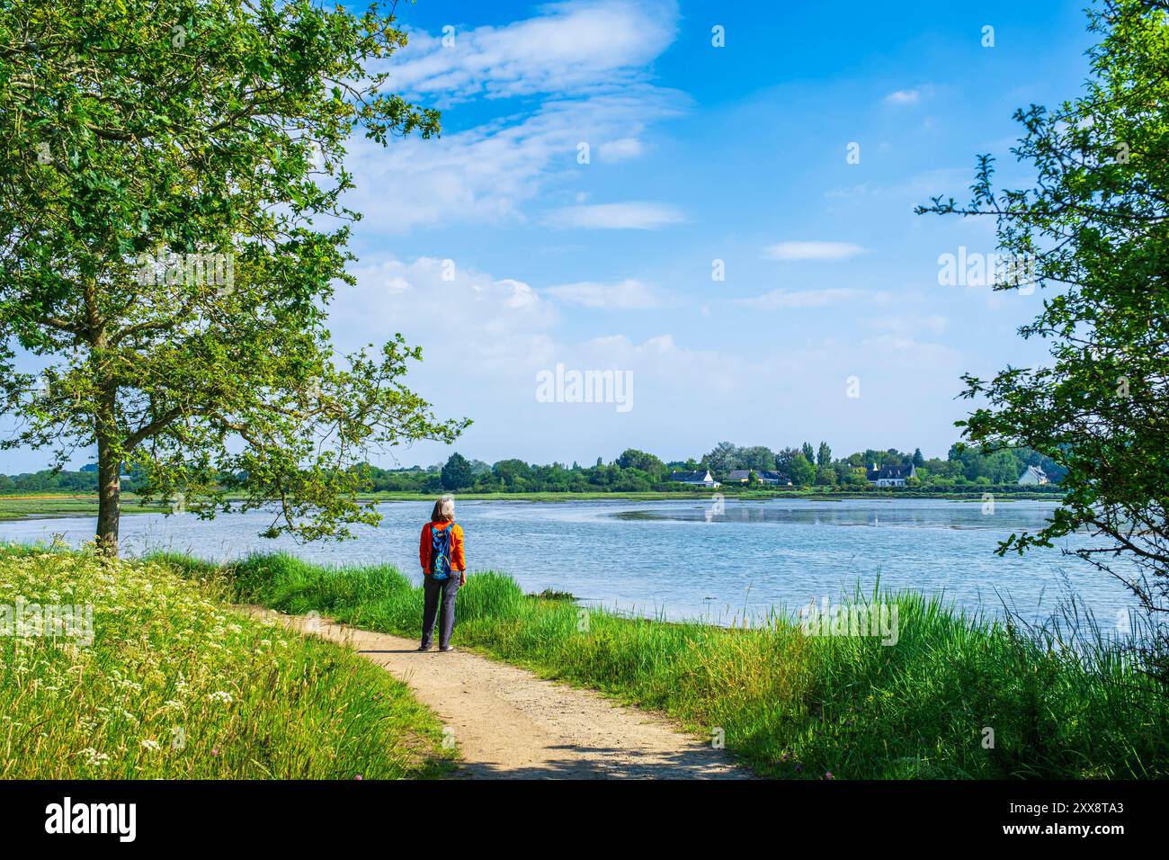 France, Morbihan, Gulf of Morbihan, Sene, hike on the GR 34 long ...