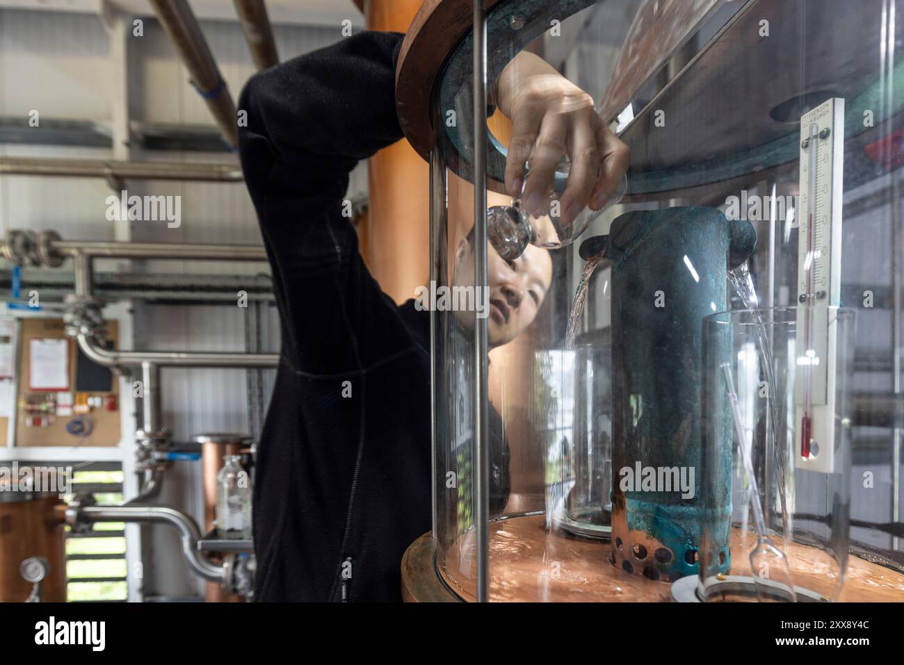 United Kingdom, Scotland, Inner Hebrides, Isle of Raasay, Raasay whiskey distillery, An employee of the distillery takes the alcohol from the stills to test it, Distillation is a key step which contributes to the complexity and the quality of the final whisky, Stock Photo