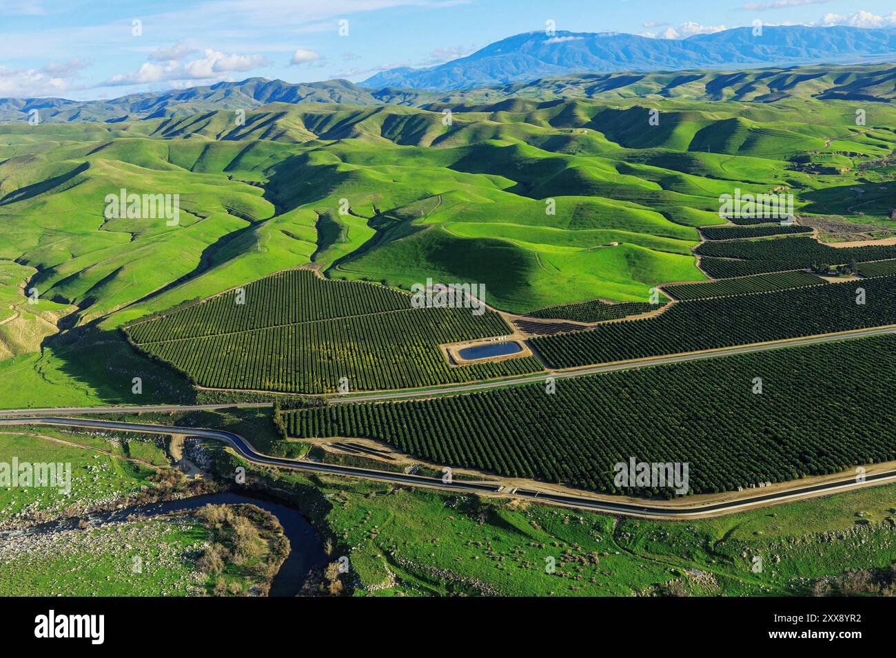 United States, California, Kern County, Bakersfield fruit tree plantation (aerial view) Stock Photo