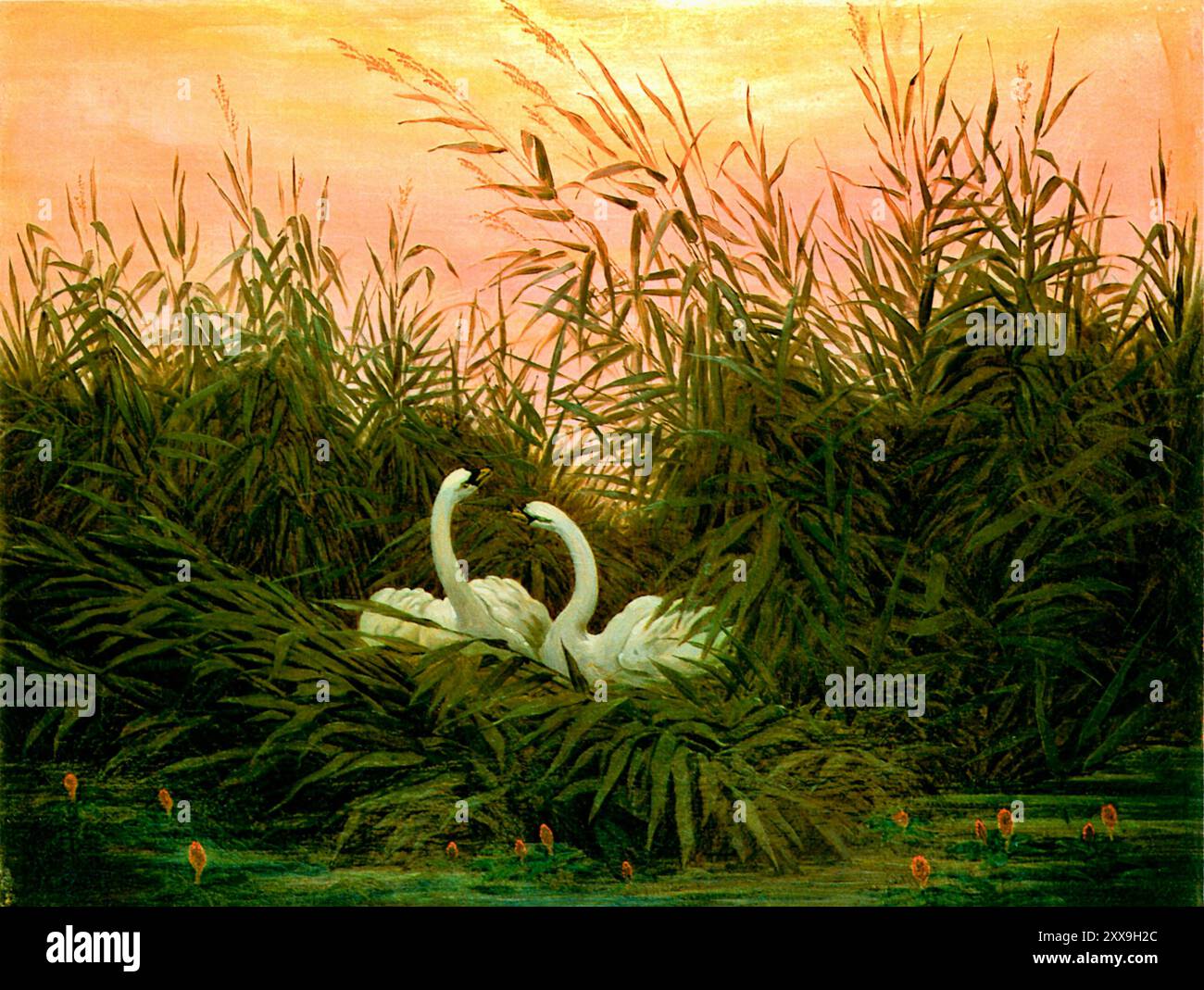 Caspar David Friedrich - Swans in the Reeds - 1832 Stock Photo