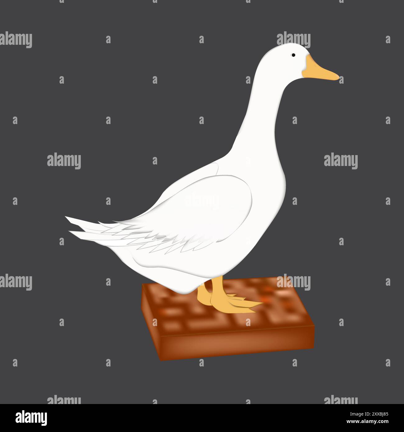 Duck Image Annotation Duck markings Stock Vector Images - Alamy