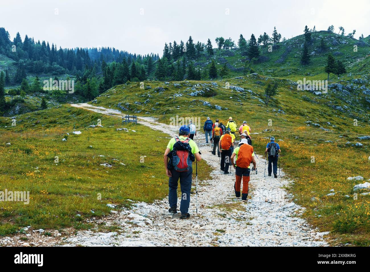 Velika Planina Slovenia July 01 2023 Hikers Visit Characteristic 