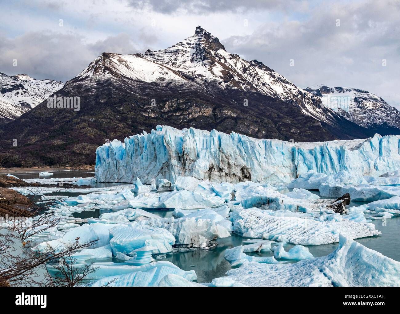 Argentine fauna hi-res stock photography and images - Alamy