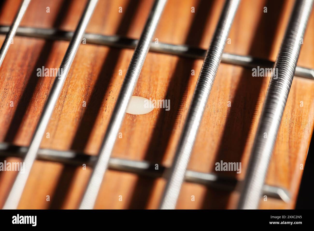 Bass guitar fretboard hires stock photography and images Alamy