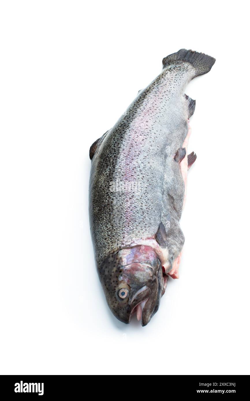 Whole fresh trout isolated on white background Stock Photo - Alamy