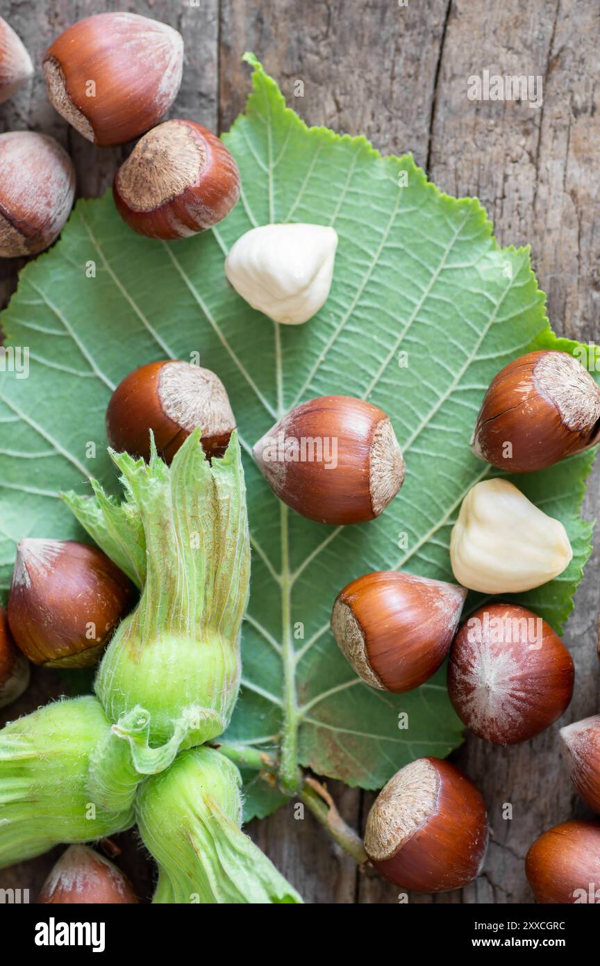 Hazelnuts with green branch on wooden background Stock Photo