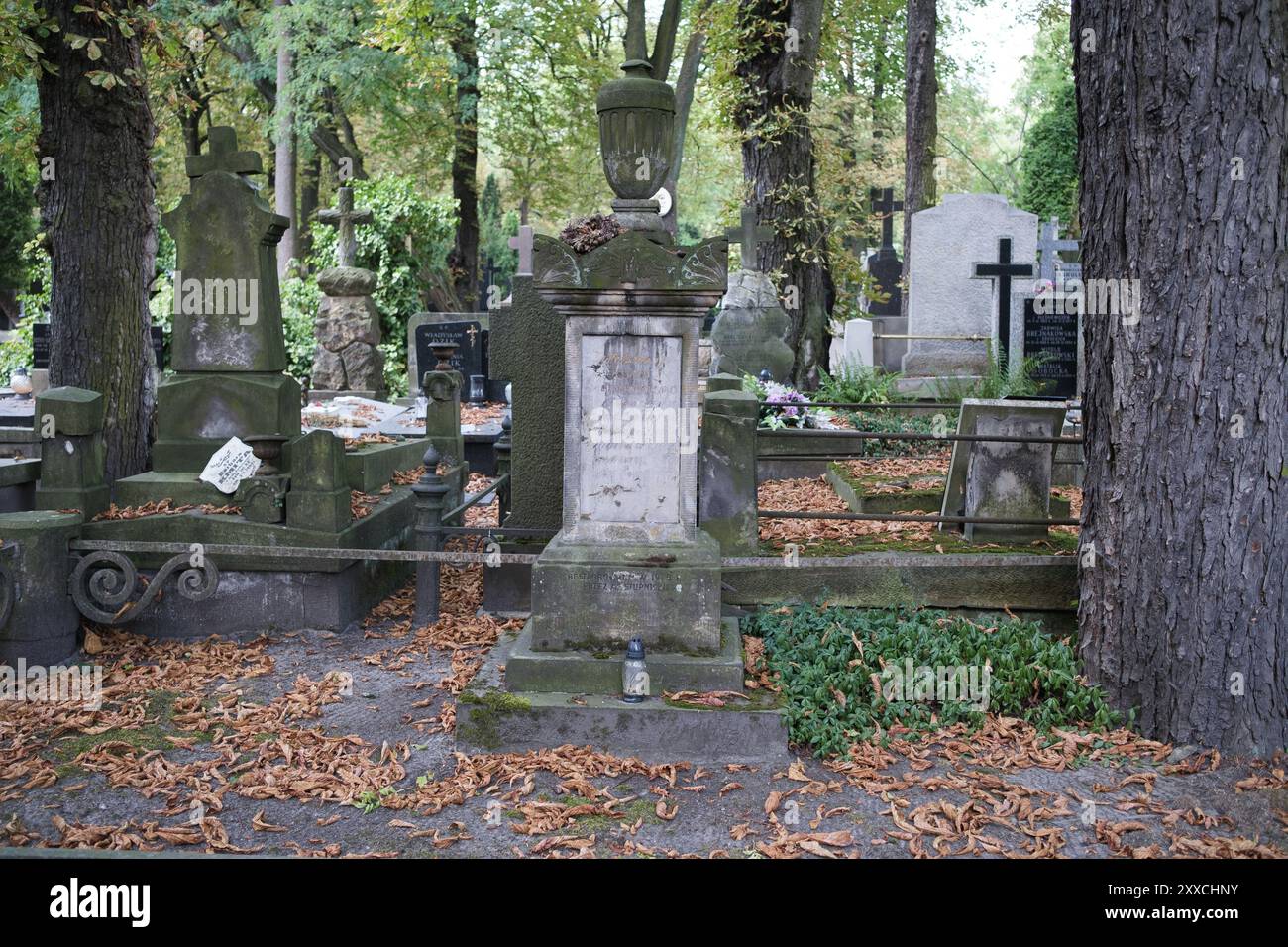 Madrid, Spain. 23rd Aug, 2024. View of Powazki Cemetery in Warsaw was founded in 1790, it is the most famous cemetery in Poland due to the large number of personalities who rest there.Warsaw August 23, 2024 (Photo by Oscar Gonzalez/Sipa USA) Credit: Sipa USA/Alamy Live News Stock Photo