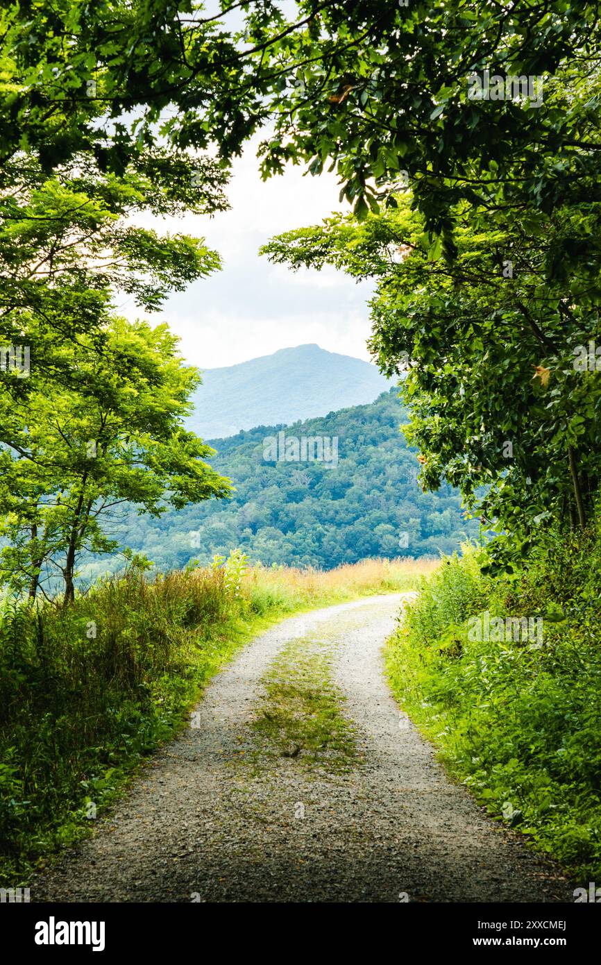 Leaf blue ridge mountain mountains hi-res stock photography and images ...