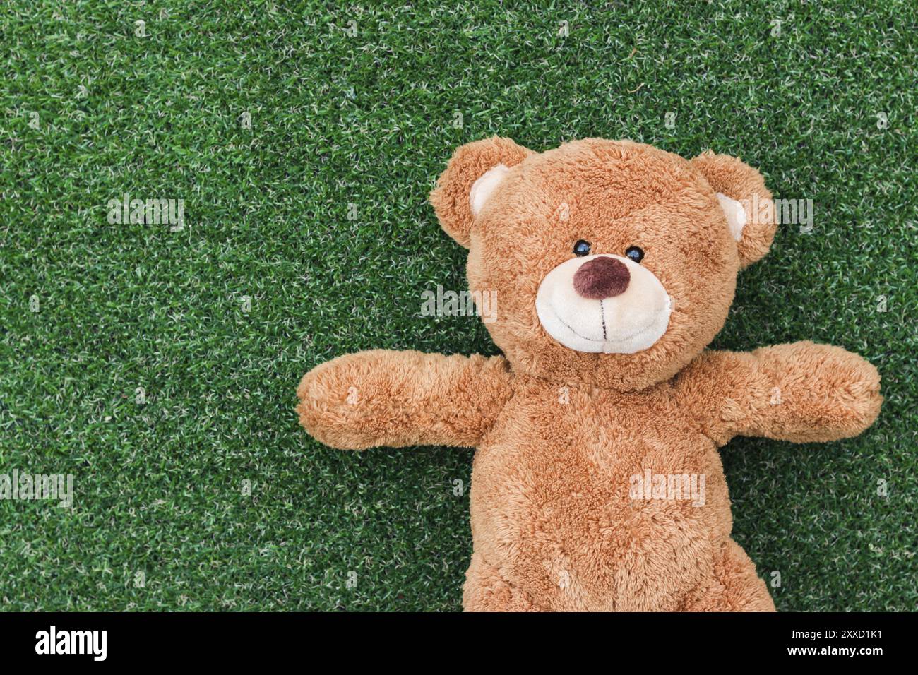 Cute teddy bear on green grass background Stock Photo - Alamy