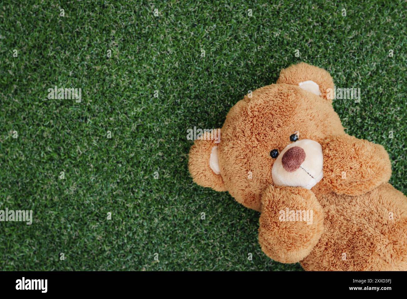 Cute teddy bear on green grass background Stock Photo - Alamy