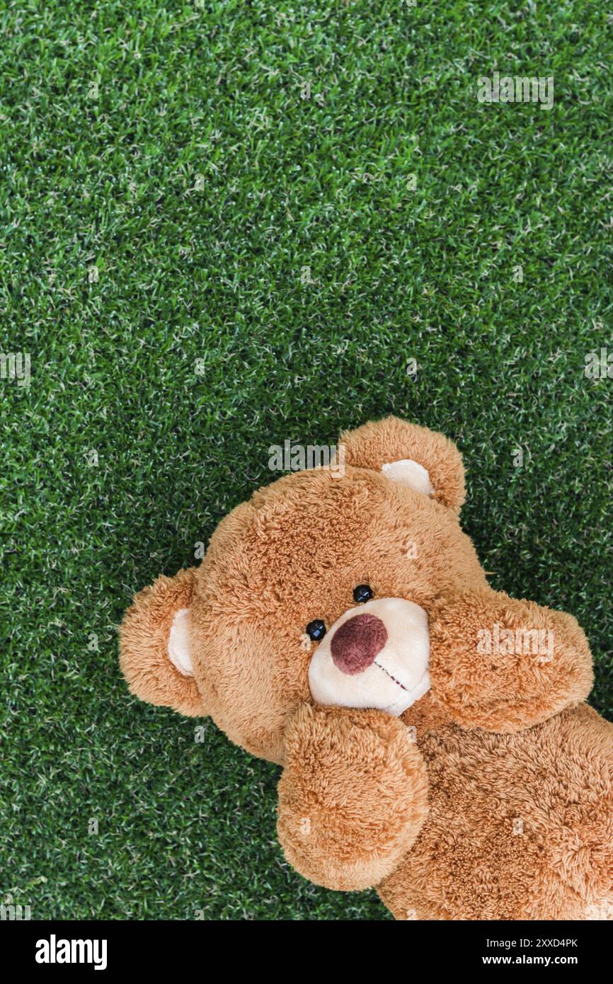 Cute teddy bear on green grass background Stock Photo - Alamy