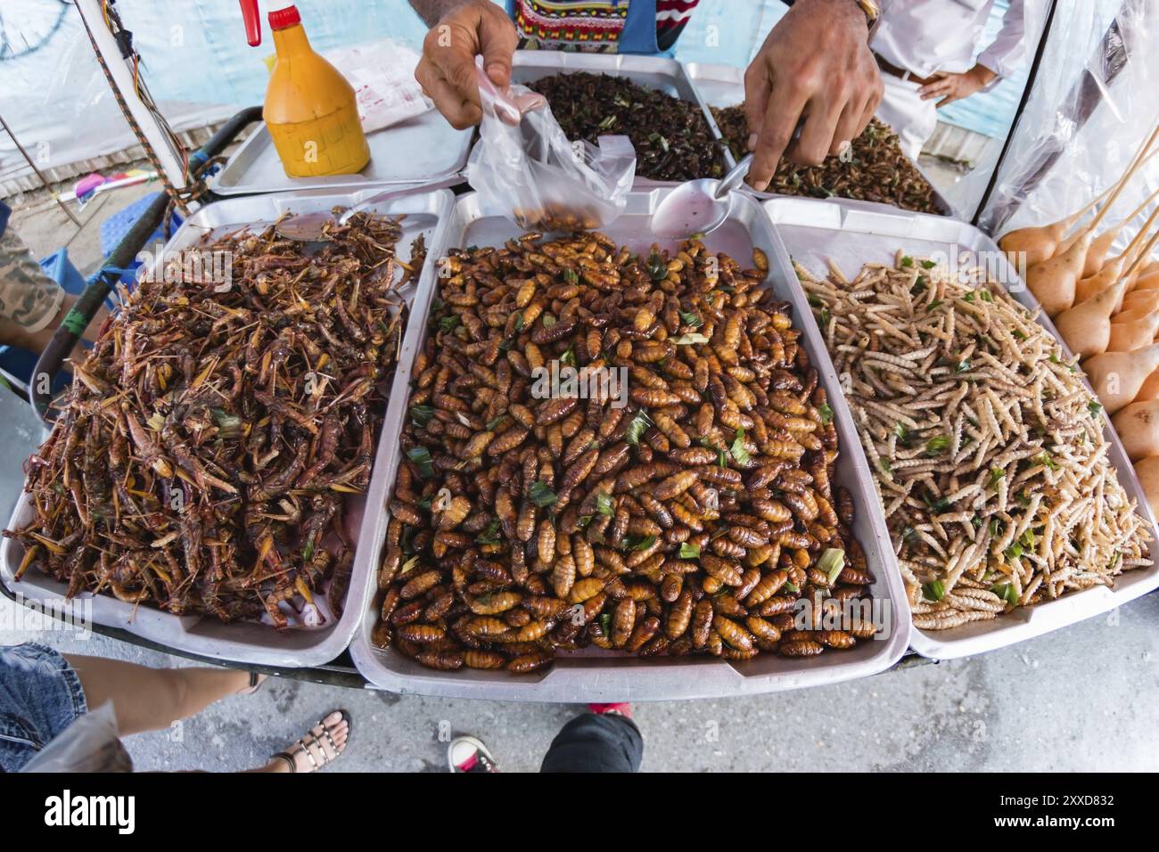 Fried insects, Bugs fried on Street food in thailand Stock Photo - Alamy