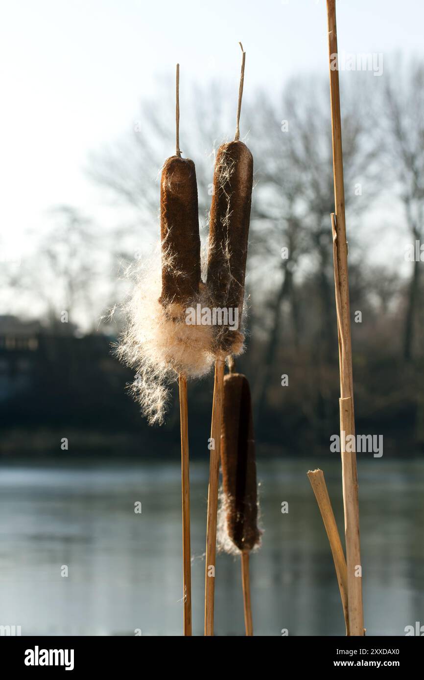 Recreational water body hi-res stock photography and images - Alamy