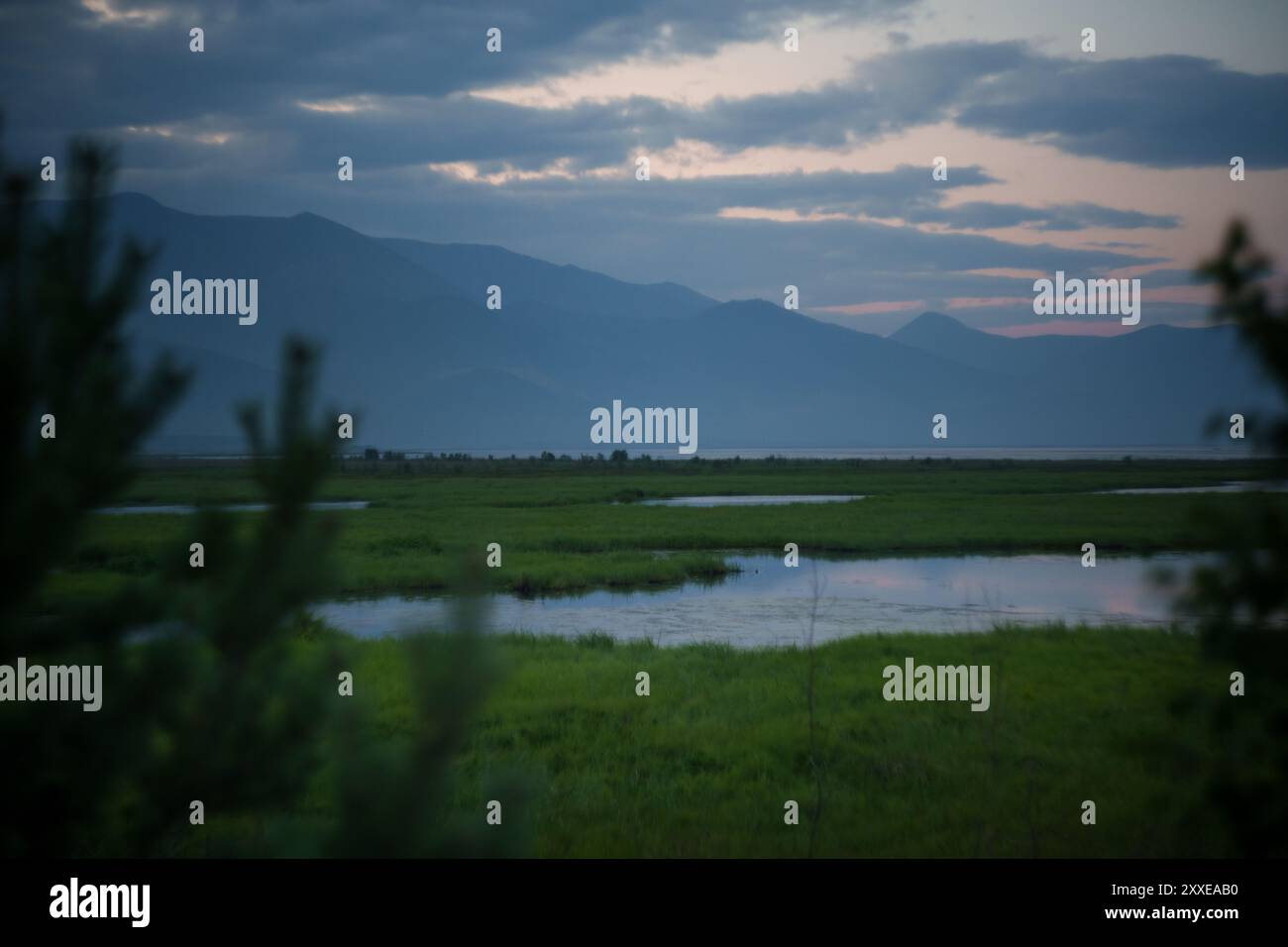 A calm lake with misty mountains at dawn, surrounded by lush greenery ...